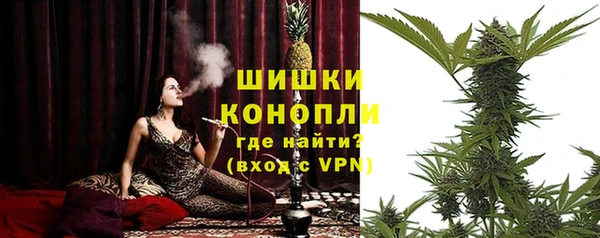Альфа ПВП Ветлуга